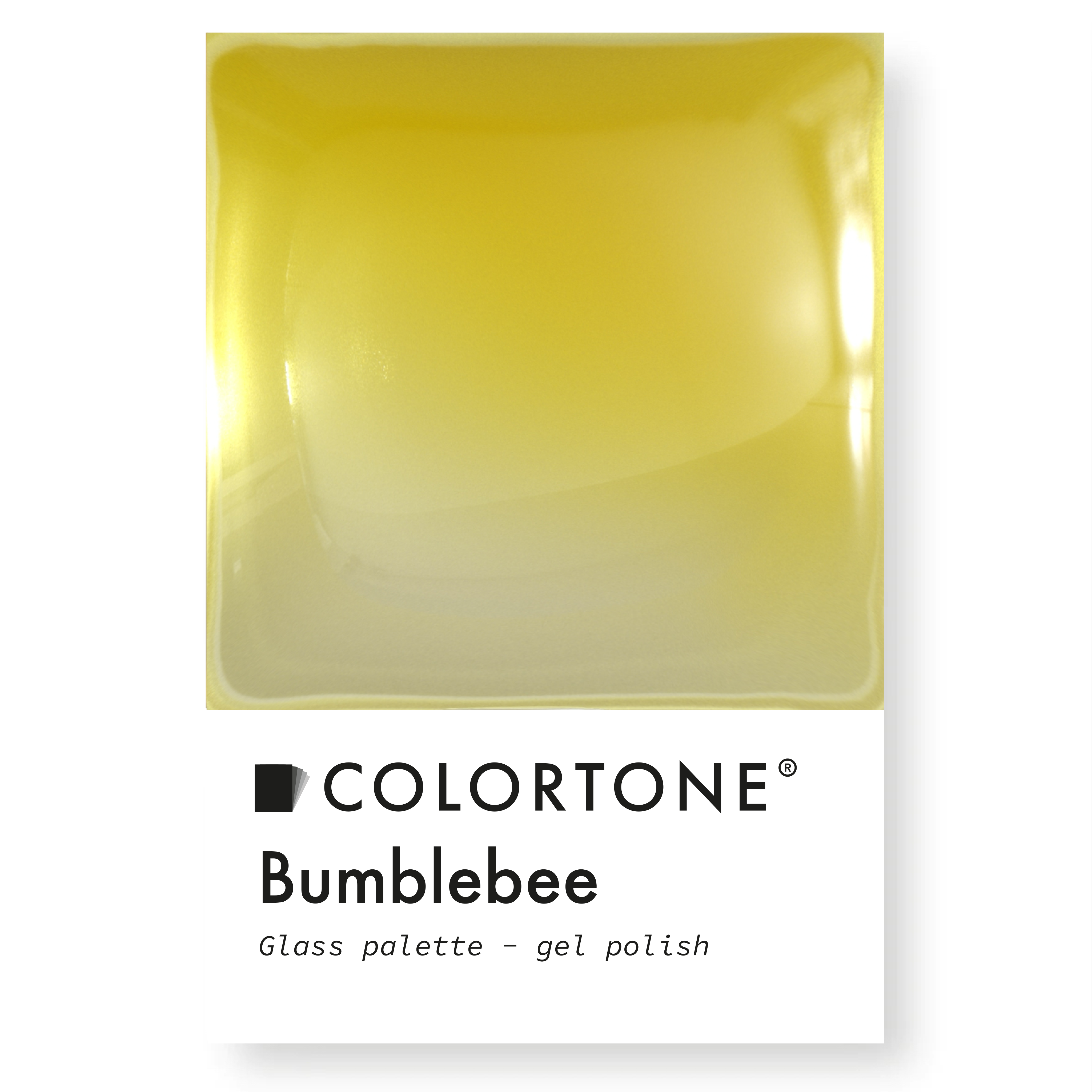 Bumblebee - Glass Palette | Colortone